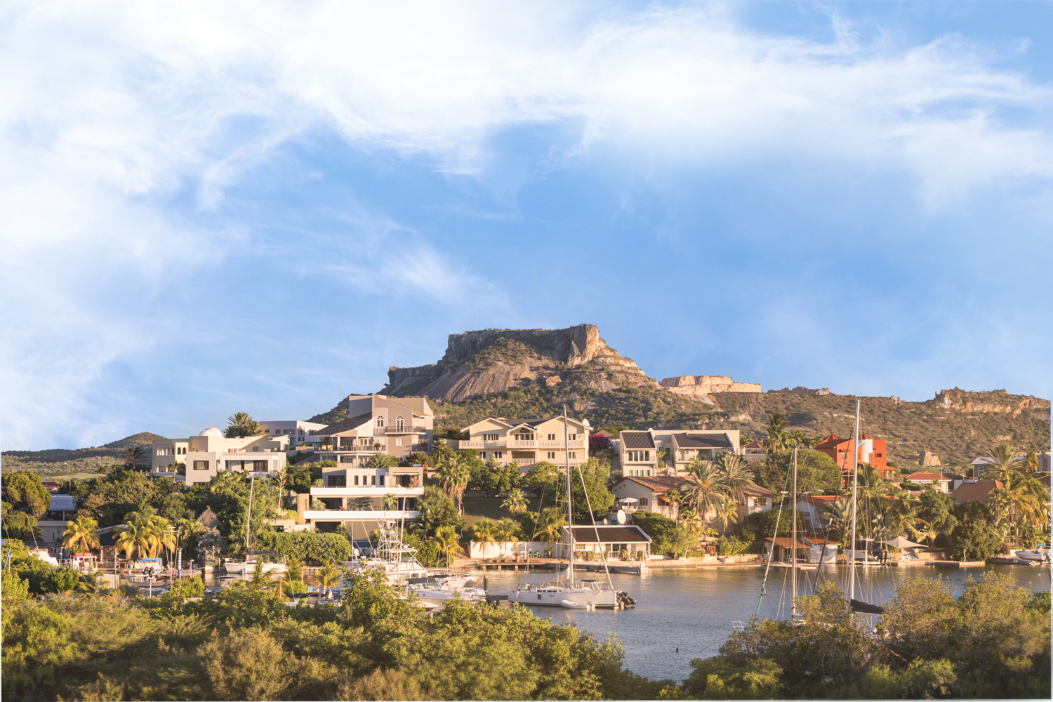 JanSofat2022_WebsiteUseOnlymarina03